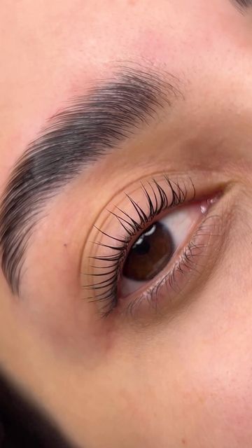Classic Lash Extension - Natural Look