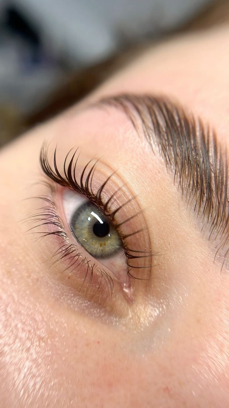 Classic Lash Refill - Natural Look